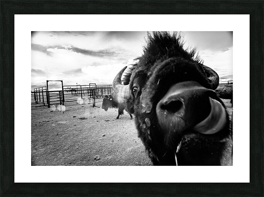 Hello! Picture Frame print