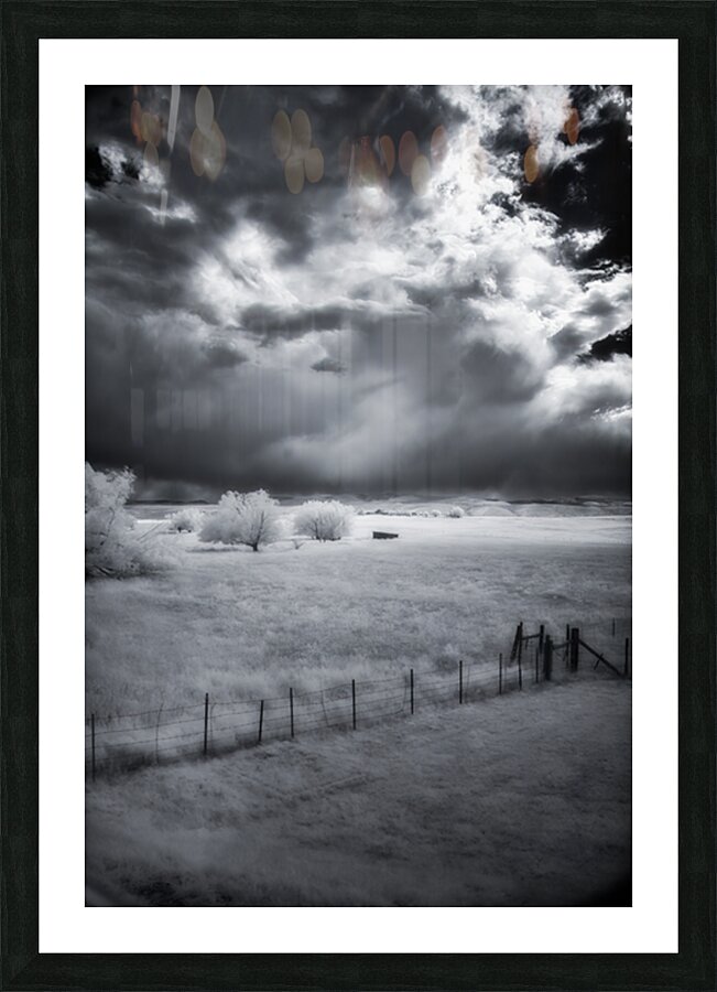 Prairie Solitude   Wyoming Minimalism Picture Frame print