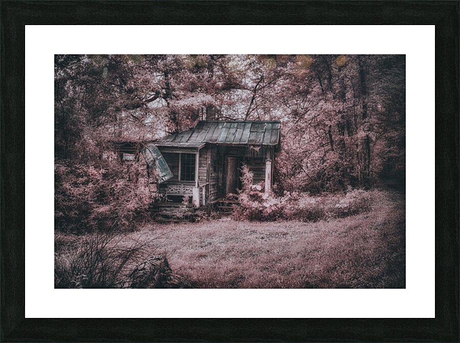 Louisiana Fishing Shack Picture Frame print