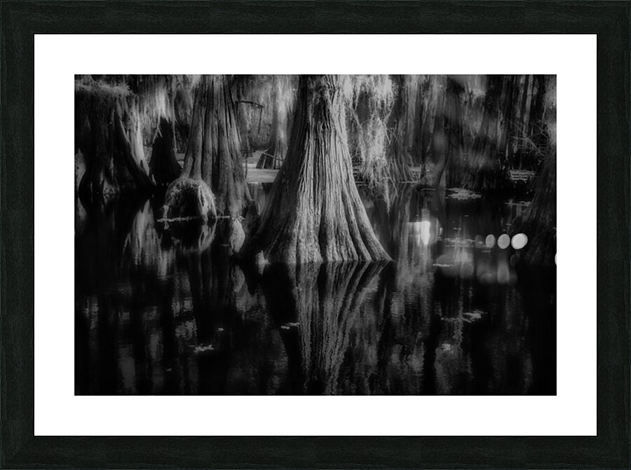 Rooted in Stillness Picture Frame print