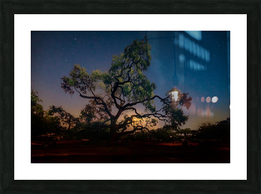 Lighting the Night Picture Frame print