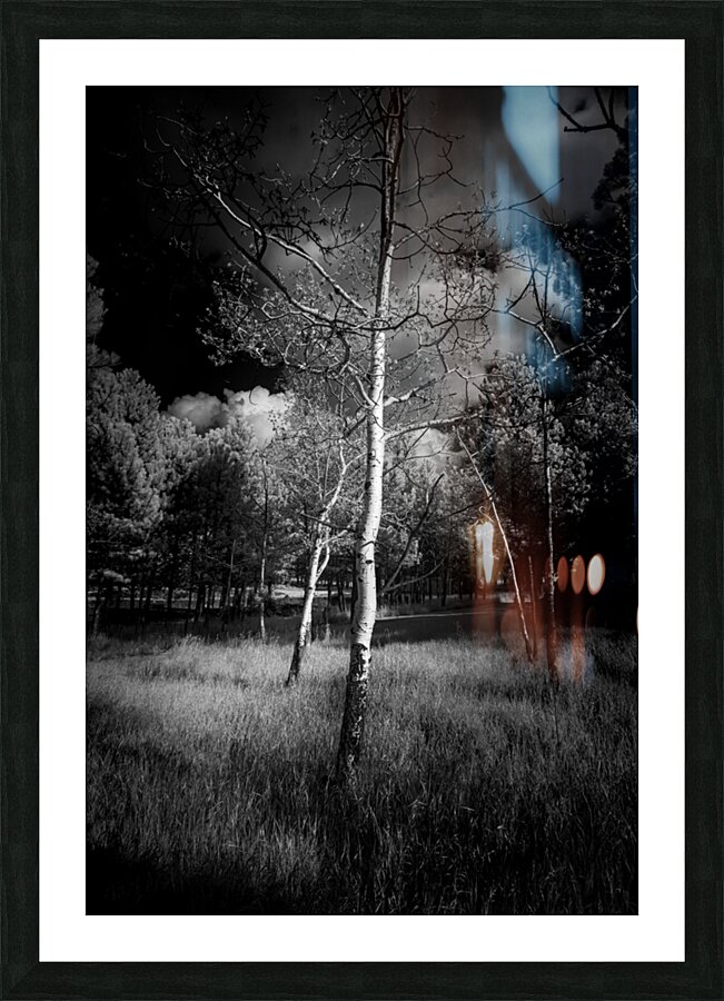 Ansel Aspen Reverie: Capturing the Spirit in Infrared Picture Frame print