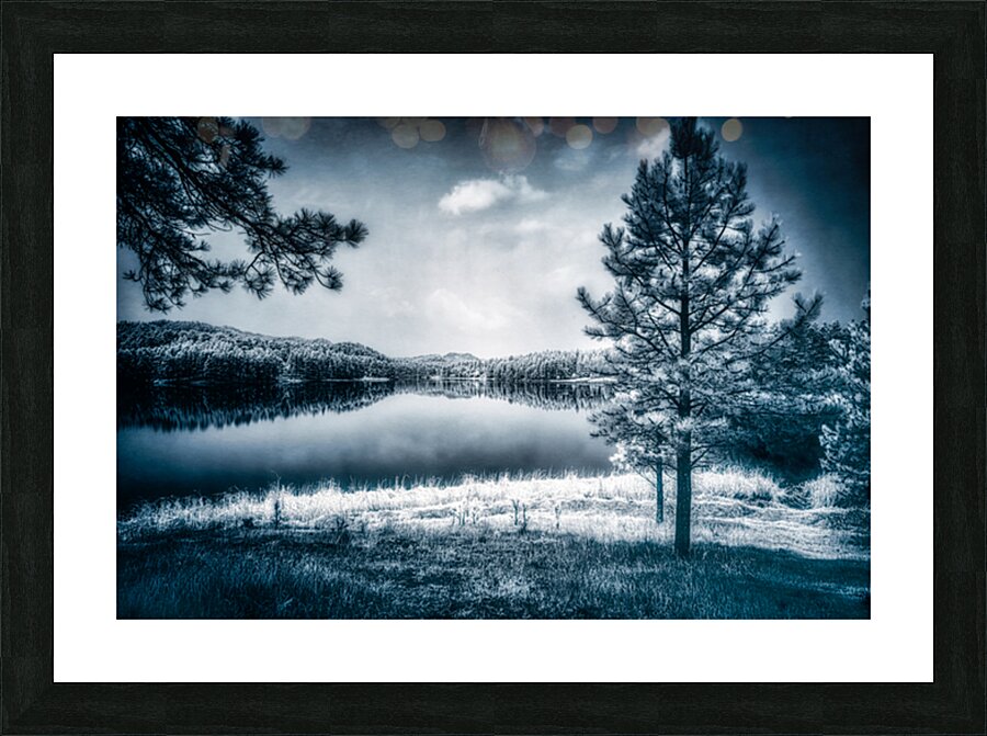 Whispers of Enchantment: The Pine Tree Guardian of the Lakes Edge Picture Frame print
