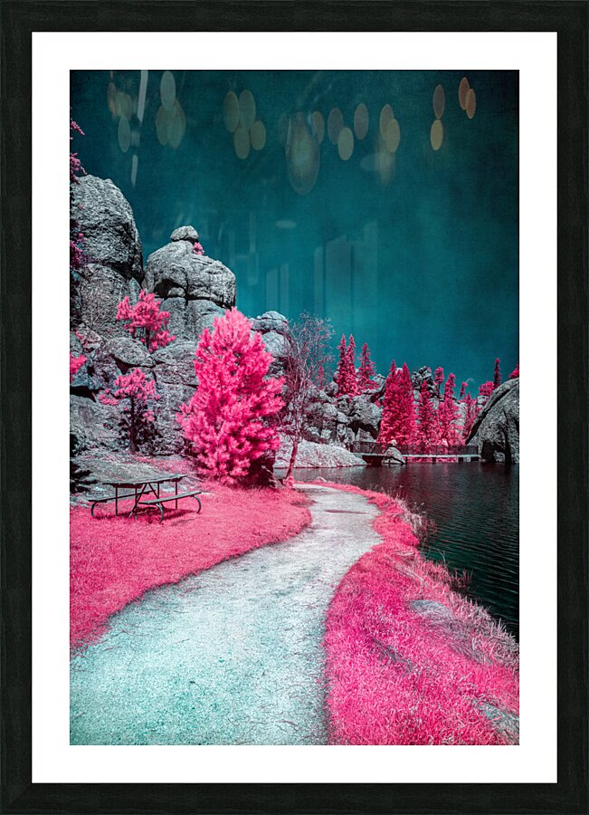 Solitary Trails: Pink Serene Trail Picture Frame print