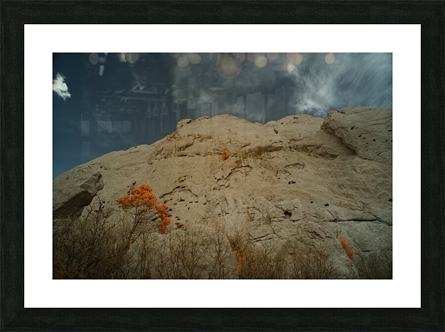 Orange Mountain Tree Picture Frame print