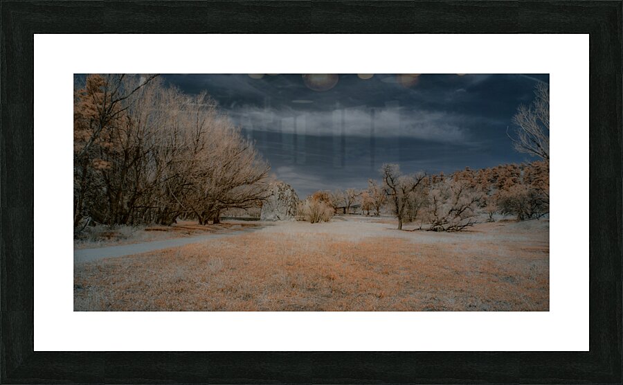 Red Rock Canyon -1 Picture Frame print