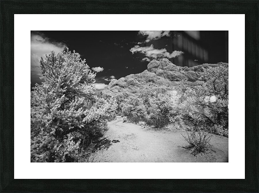 Garden Path - 2 Picture Frame print