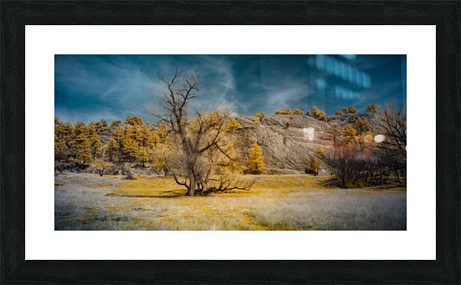 A Tranquil Escape: Red Rock Canyon Open Space in Golden Infrared Splendor Picture Frame print