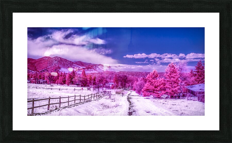Chautauqua Chronicles: Pink Path Picture Frame print