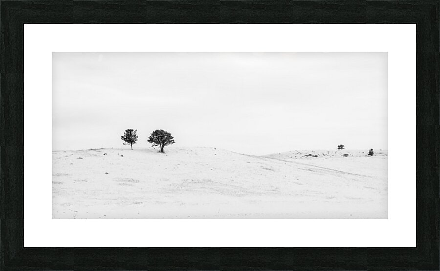 Winters Elegance: A High Key at Flatirons Trailhead Picture Frame print