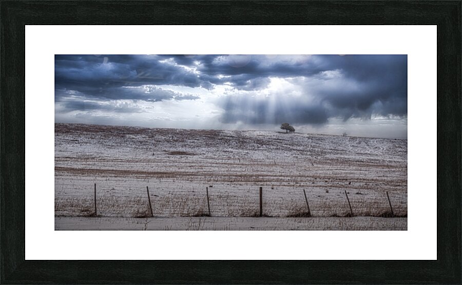 Winters Solitude in Colorado Picture Frame print