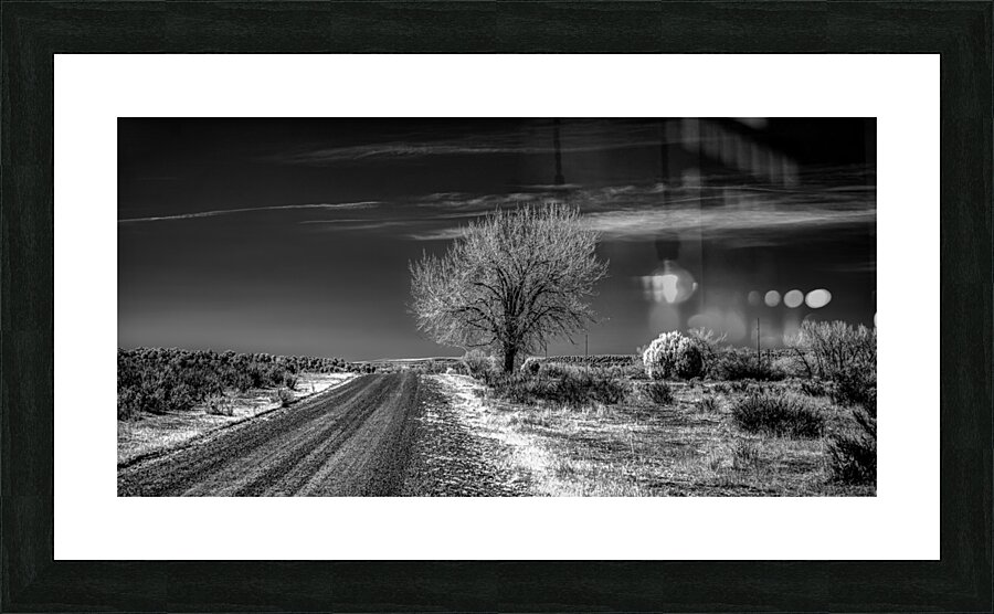 Ethereal Encounters: A Monochrome Journey Through Dawson New Mexico Picture Frame print