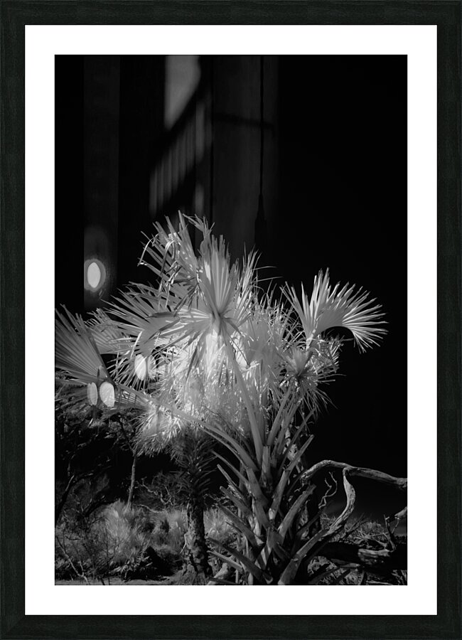 Ethereal Foliage Picture Frame print