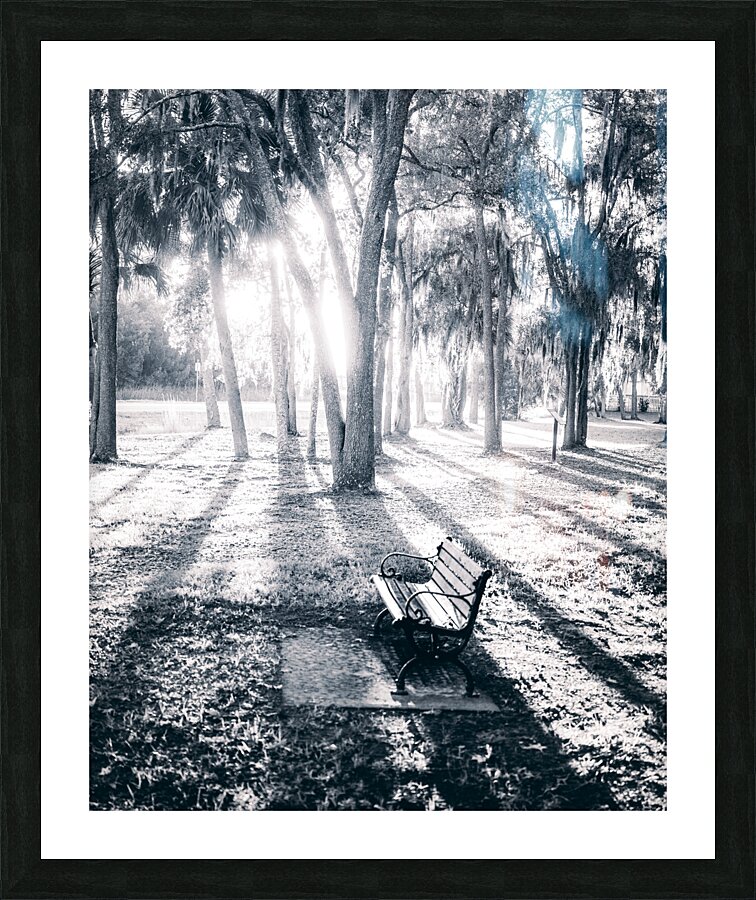 Lighted Bench Picture Frame print