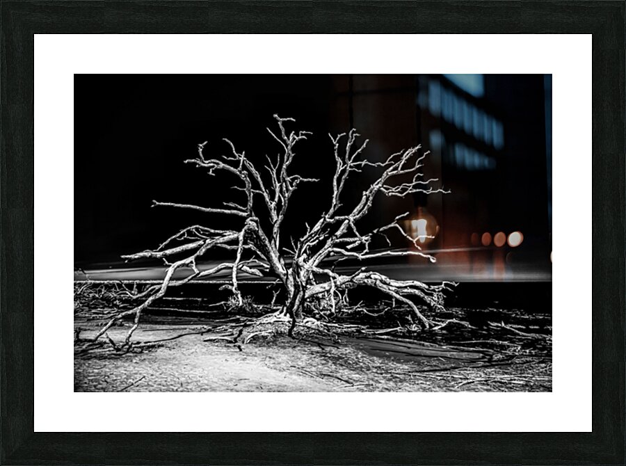 Ghost Dancer Picture Frame print