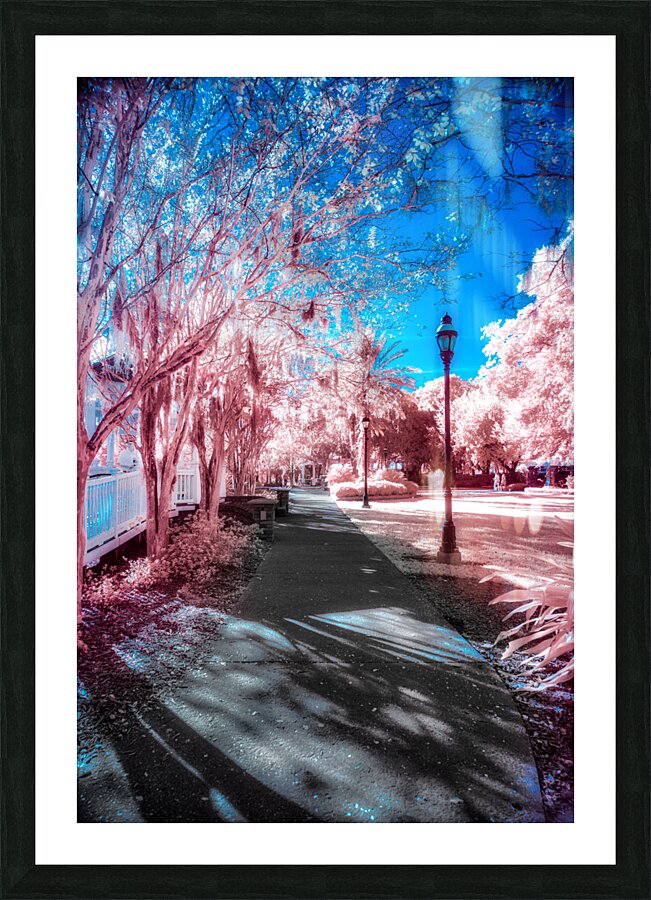 Pink Park Picture Frame print