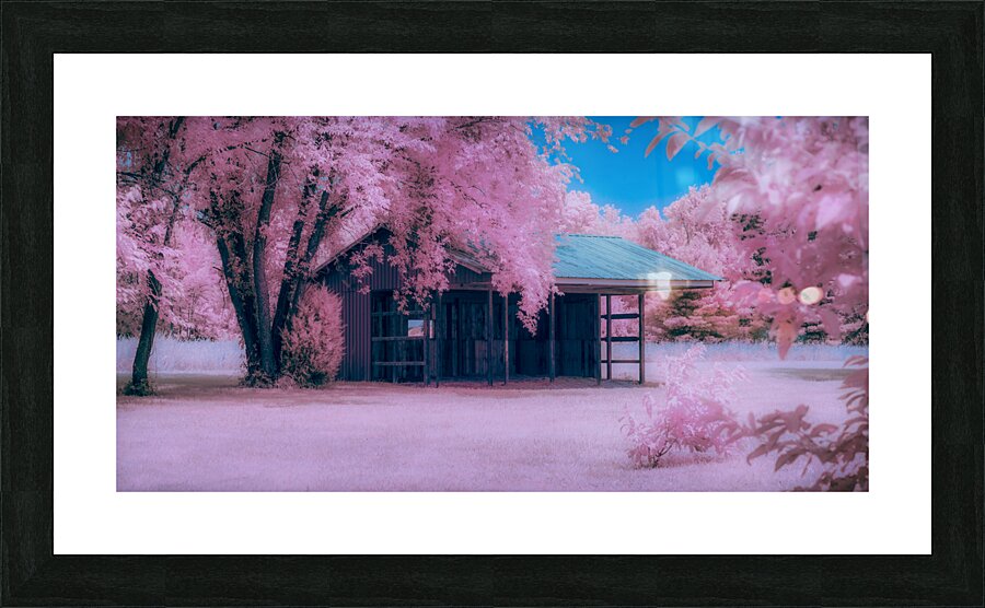 Infrared Delaware Barn Picture Frame print