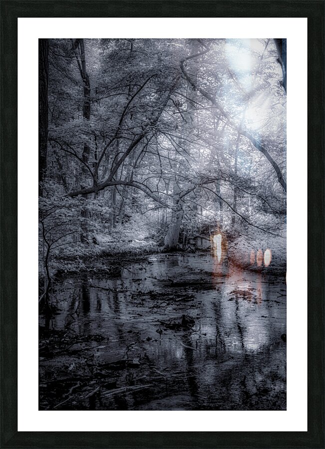 Mystical Reverie: Infrared Wonders of Abbotts Mills Swamp Vista Picture Frame print