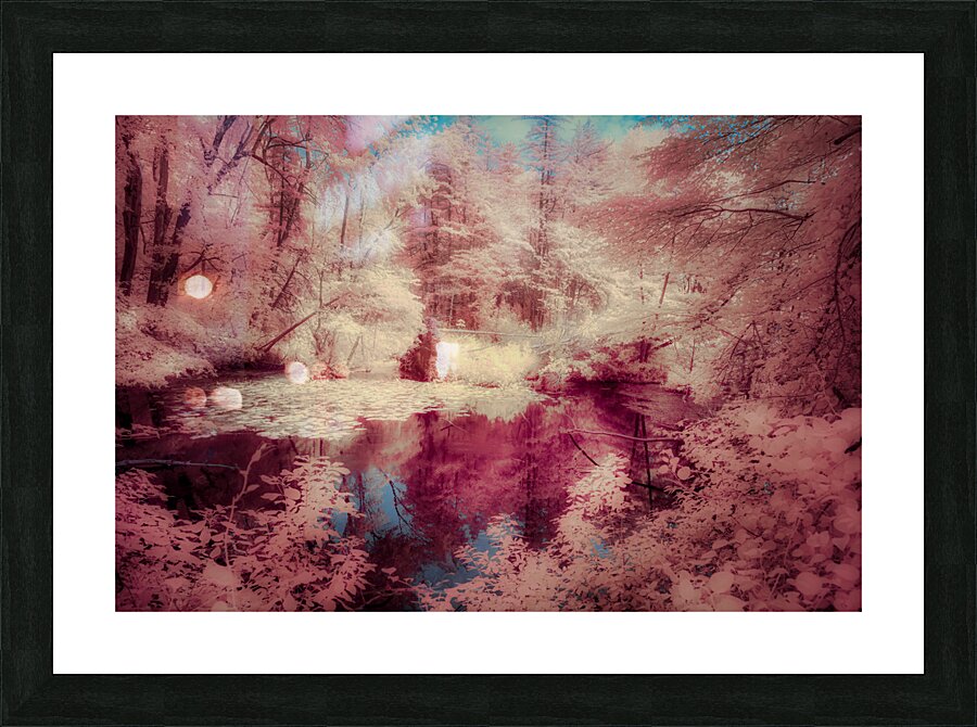 Pink Swamp Picture Frame print