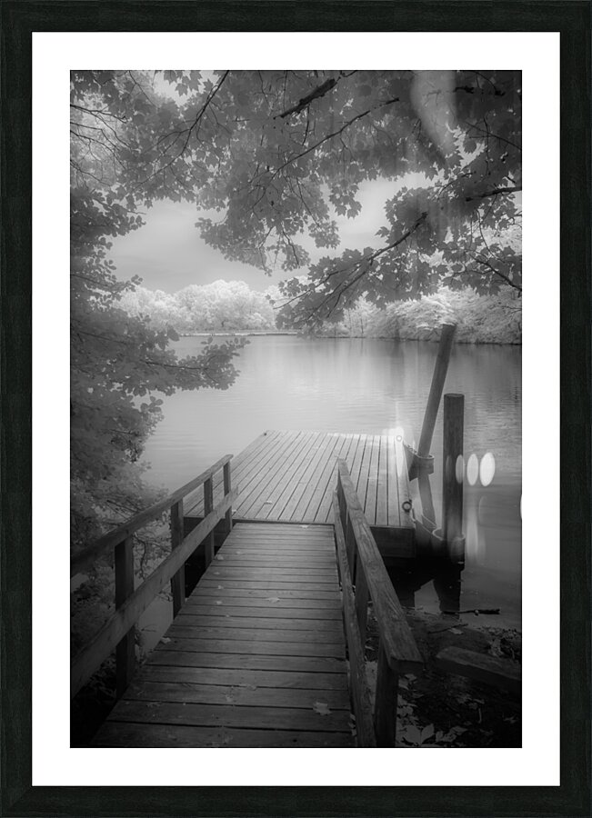 Stillness Captured: Abbotts Pond Picture Frame print