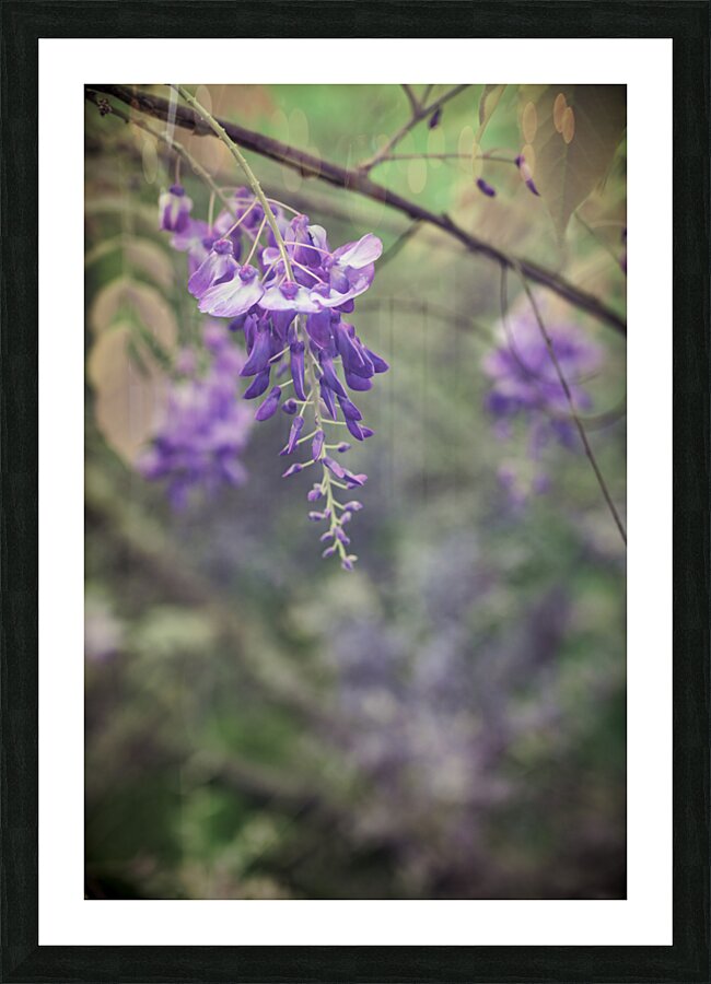 Full Spectrum Flowers Picture Frame print