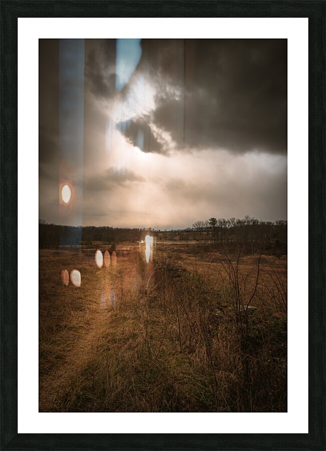 Hazel Row Picture Frame print