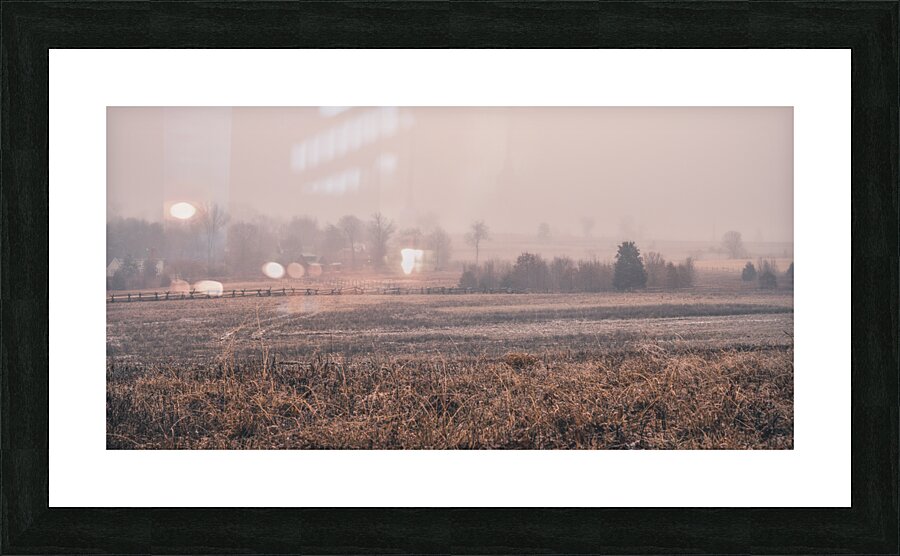 Hazel Field Picture Frame print