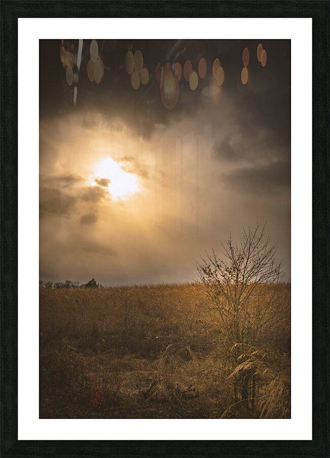 Golden Light Revelation Picture Frame print
