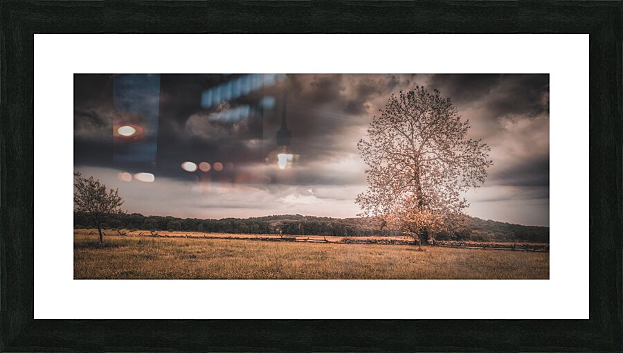 Lone Tree Storm Picture Frame print