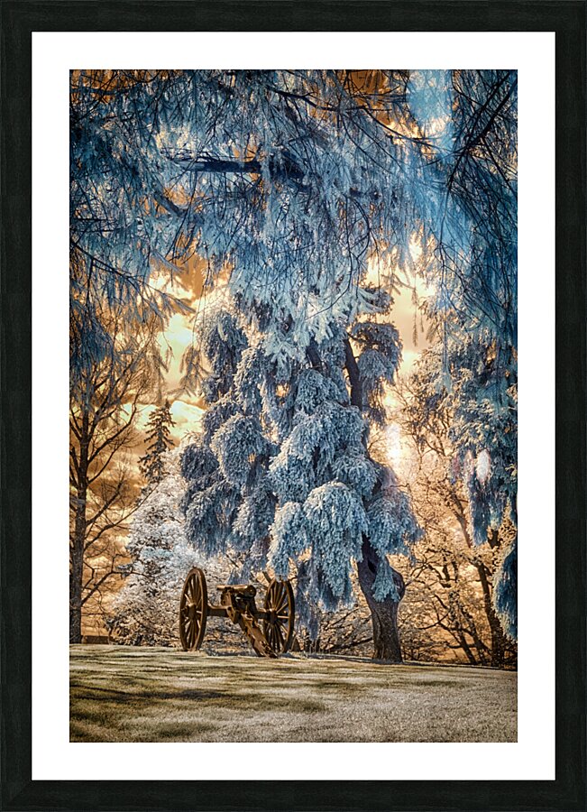 Summer Snow Picture Frame print