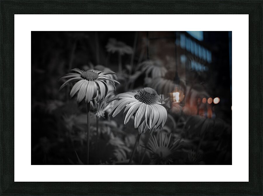 Loris Flowers - 2 Picture Frame print