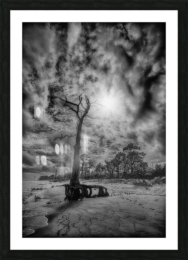 Shadowy Picture Frame print