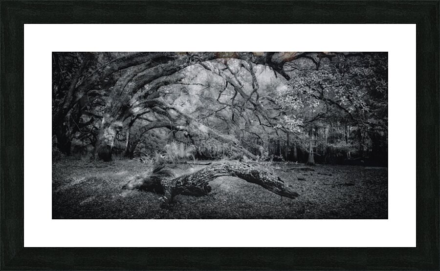 Wooden Nellie Picture Frame print