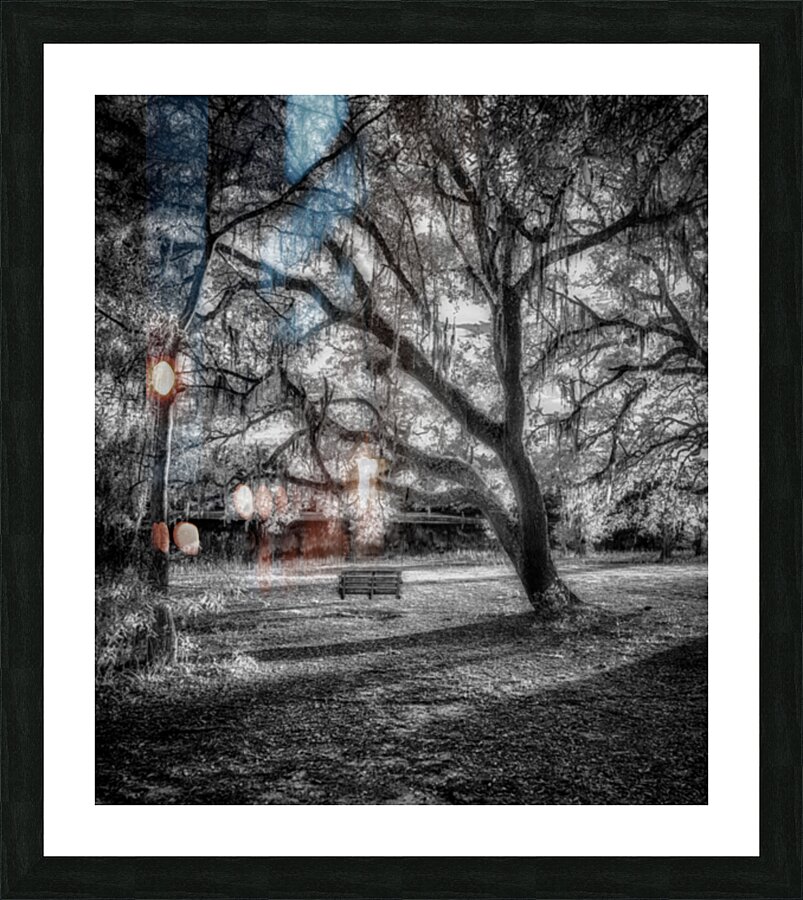 Traceys Tranquil Haven Picture Frame print