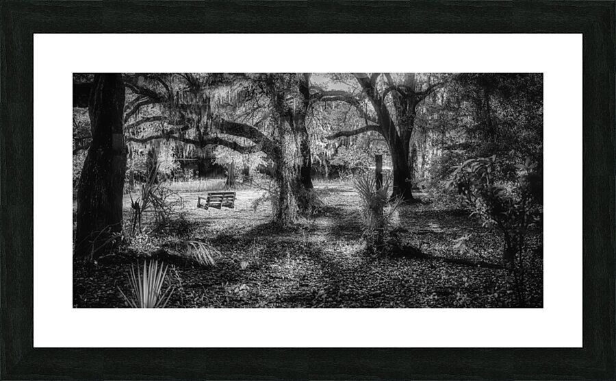 Forest Swing Picture Frame print