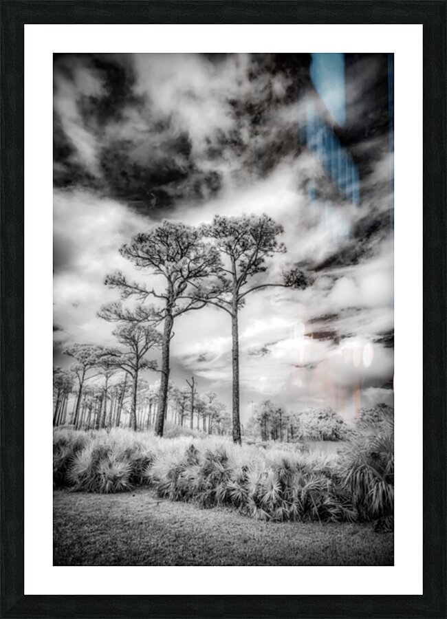 Together Picture Frame print