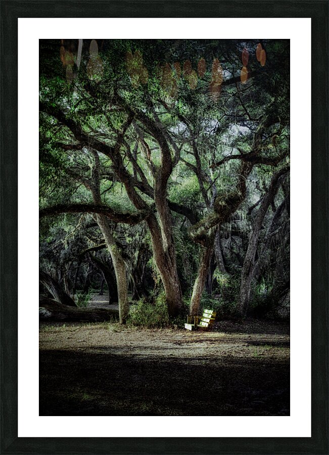 Oak Swing Picture Frame print