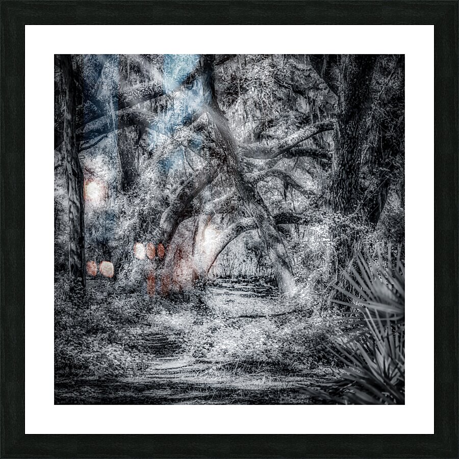 Jungle Path Picture Frame print