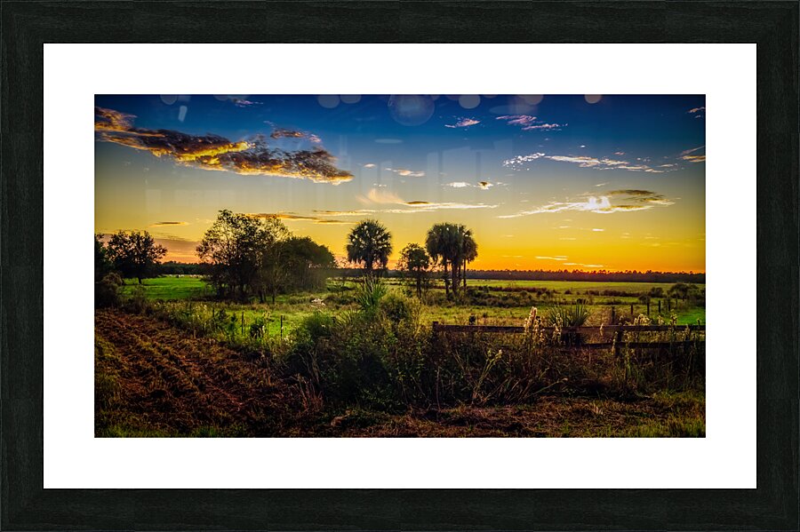 Rural Florida Sunset Picture Frame print