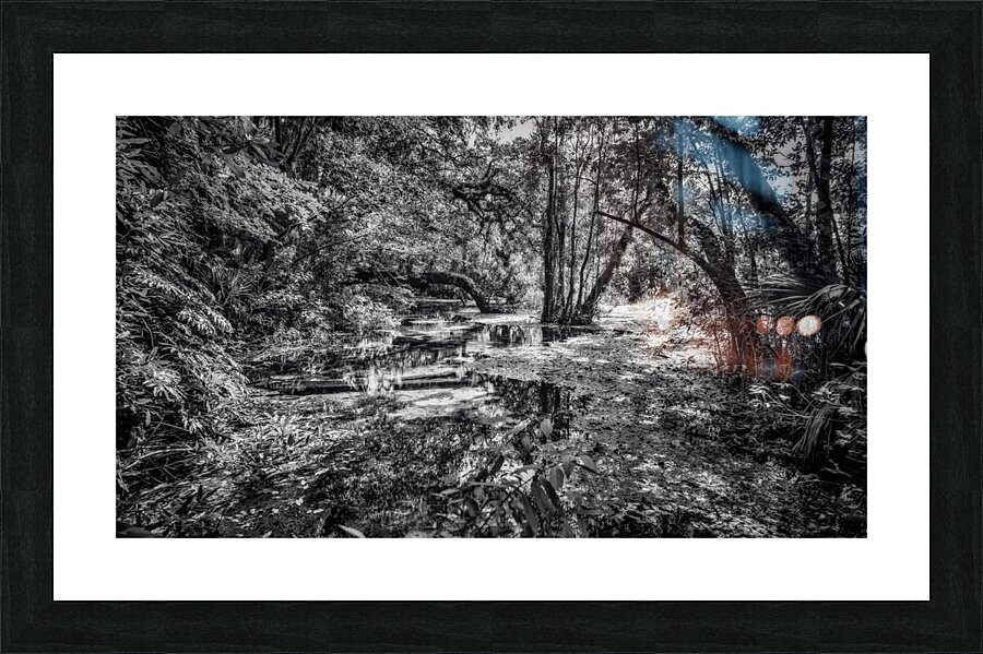 Swampy  Picture Frame print