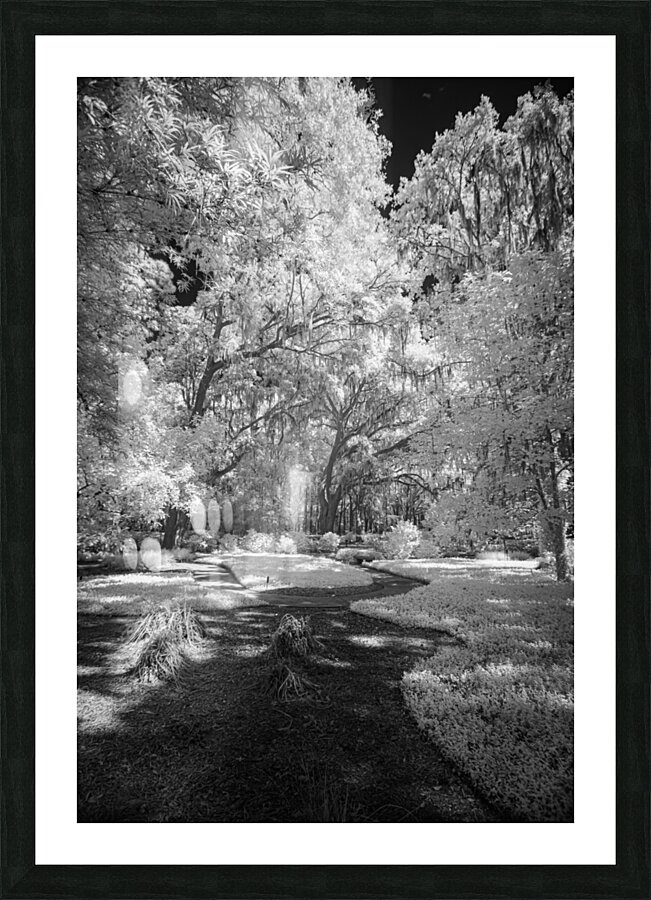Infrared Pathway Picture Frame print