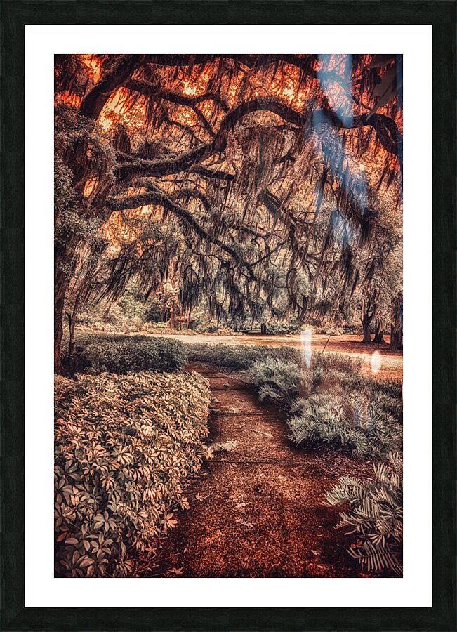 Mossy Path Picture Frame print