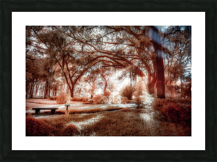 The Bench Picture Frame print