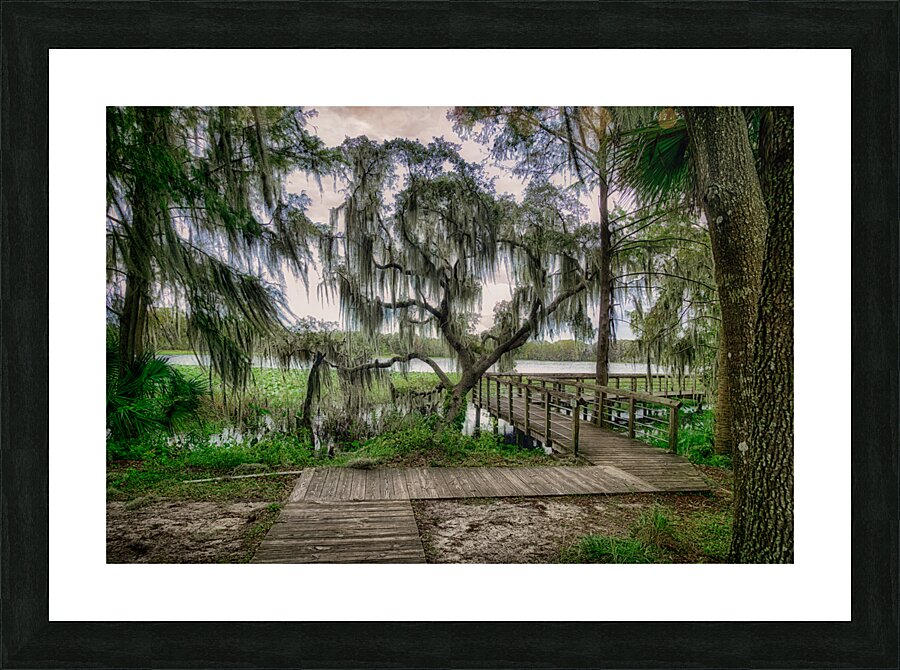 Mossy Right Angle Picture Frame print