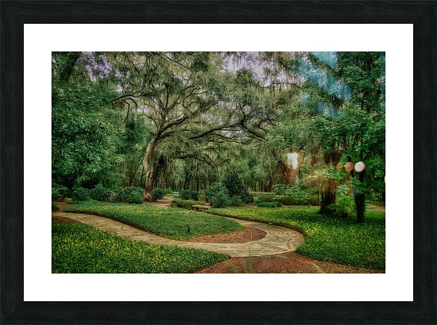 Path Curve Picture Frame print