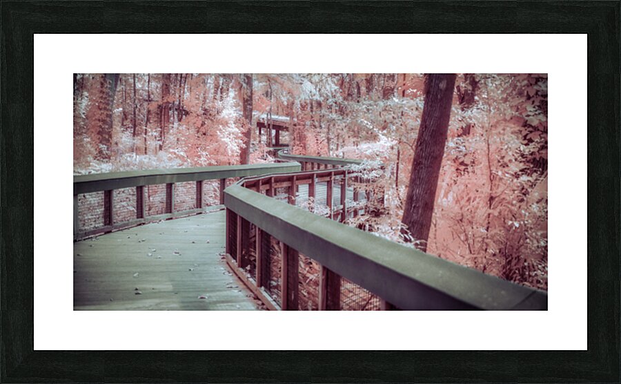 Winding Dreams Boardwalk Picture Frame print