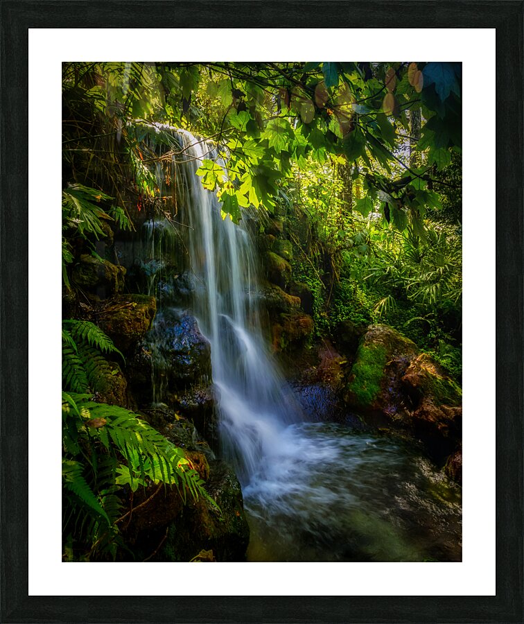 Short Falls in Florida Picture Frame print