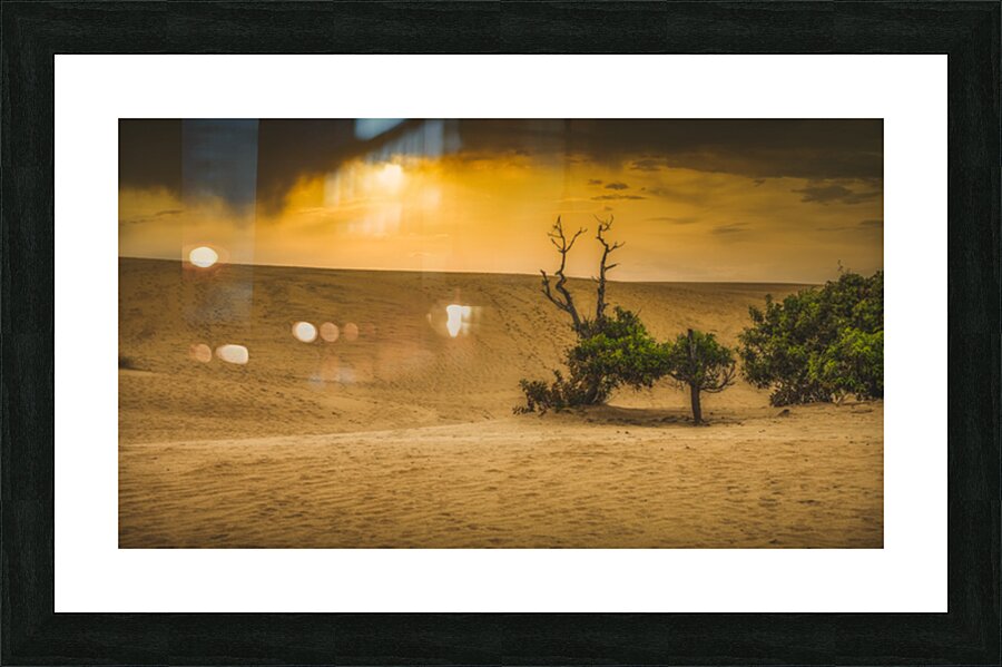 Dunes of Change: Jockey Ridge Sunset Picture Frame print
