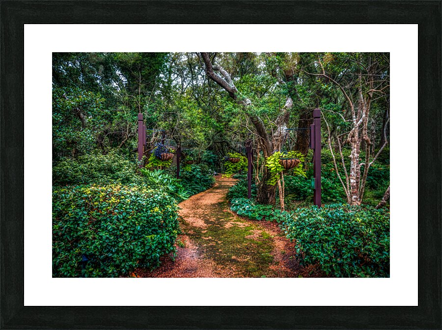 Footpath Picture Frame print
