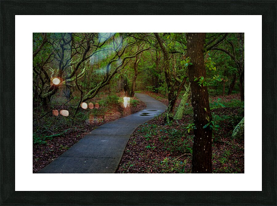 Return Picture Frame print